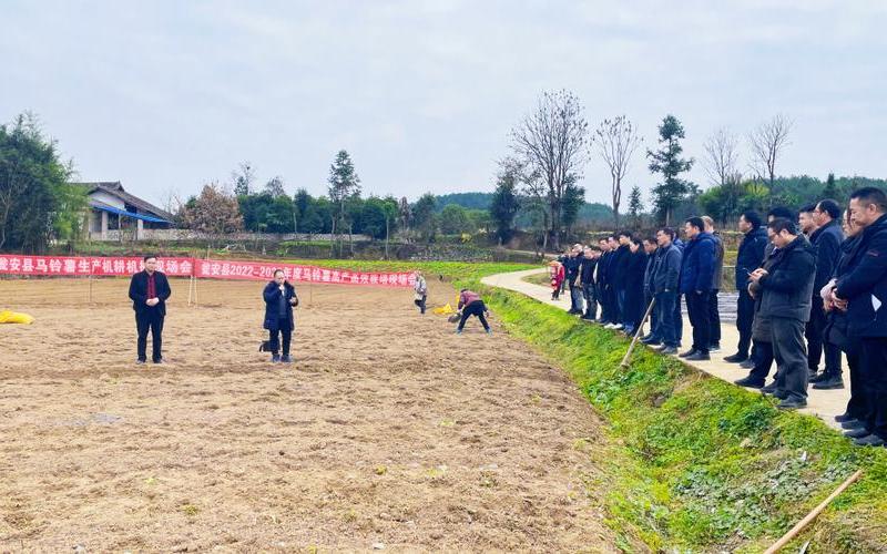 瓮安返乡创业项目有哪些，瓮安县返乡政策